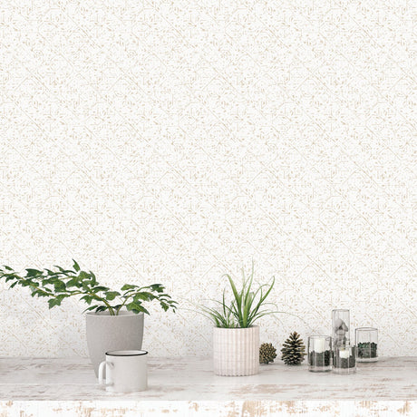 Eade's G78338-sample Beige