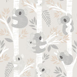 Galerie G78385 Beige Koalas - Eade's Wallpaper