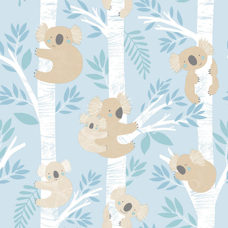 Galerie G78386 Blue Koalas - Eade's Wallpaper