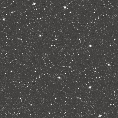 Galerie G78407 Black Space Sidewall - Eade's Wallpaper