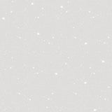 Galerie G78409 Silver Grey Space Sidewall - Eade's Wallpaper