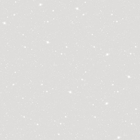 Galerie G78409 Silver Grey Space Sidewall - Eade's Wallpaper