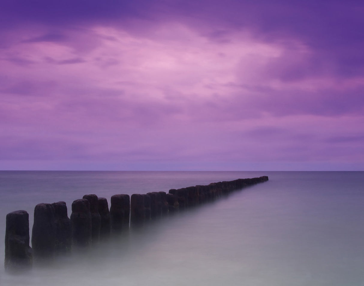 Galerie G78422 Purple Lilac MURAL - Eade's Wallpaper