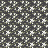 Galerie G78480 Black Anenome Mini - Eade's Wallpaper