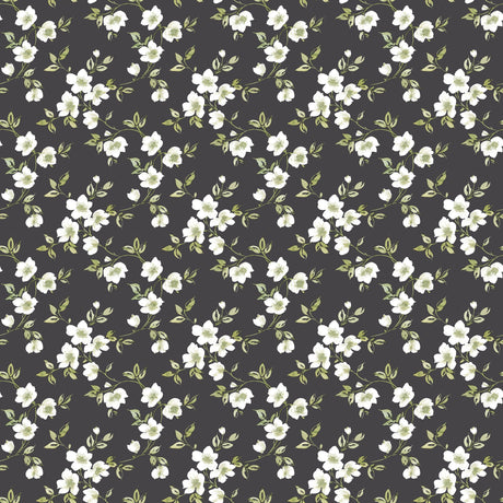 Galerie G78480 Black Anenome Mini - Eade's Wallpaper
