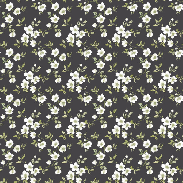 Galerie G78480 Black Anenome Mini - Eade's Wallpaper
