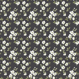 Eade's G78481-sample Blue