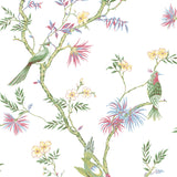 Galerie G78490 Multi-coloured Classic Bird Trail - Eade's Wallpaper