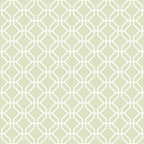 Galerie G78523 Green Trellis Negative - Eade's Wallpaper