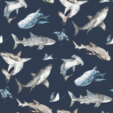 Galerie Kids and Teens Sharks Blue Wallpaper G78590