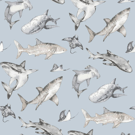 Galerie Kids and Teens Sharks Blue Wallpaper G78591