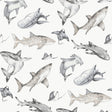 Galerie Kids and Teens Sharks Grey Wallpaper G78593