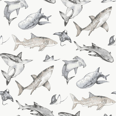 Galerie Kids and Teens Sharks Grey Wallpaper G78593