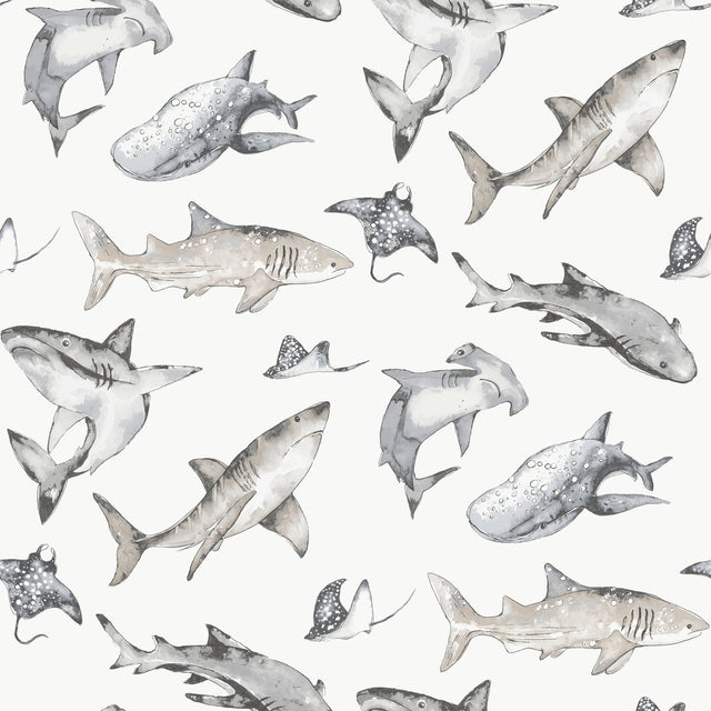 Galerie Kids and Teens Sharks Grey Wallpaper G78593