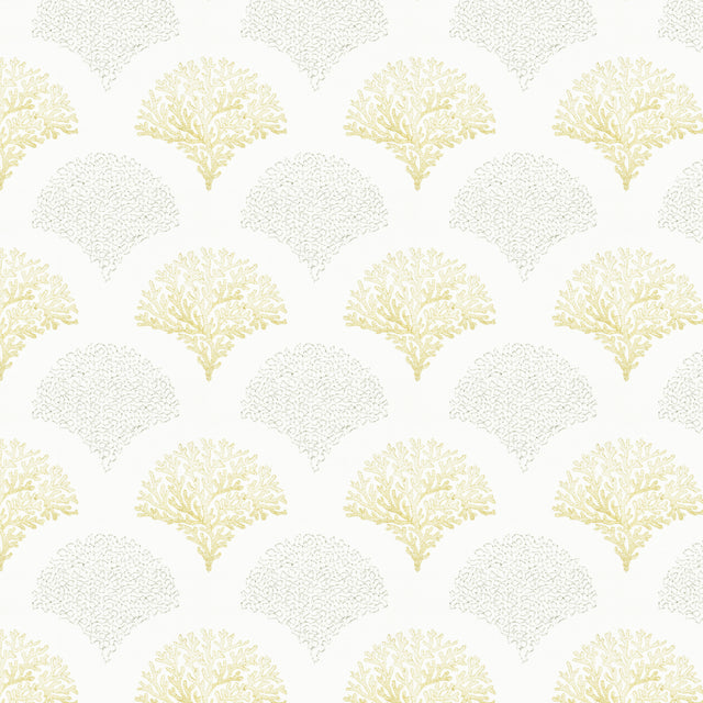 STOUT GADA-3 GADABOUT 3 CHARDONNAY Fabric - Eades Wallpaper & Fabric