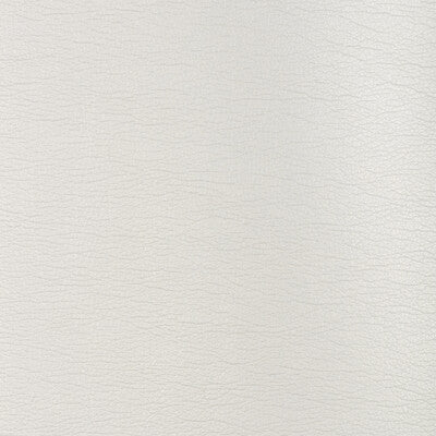 KRAVET DESIGN KRAVET DESIGN GALLEON.1.0 in GALLEON-1 Fabric 