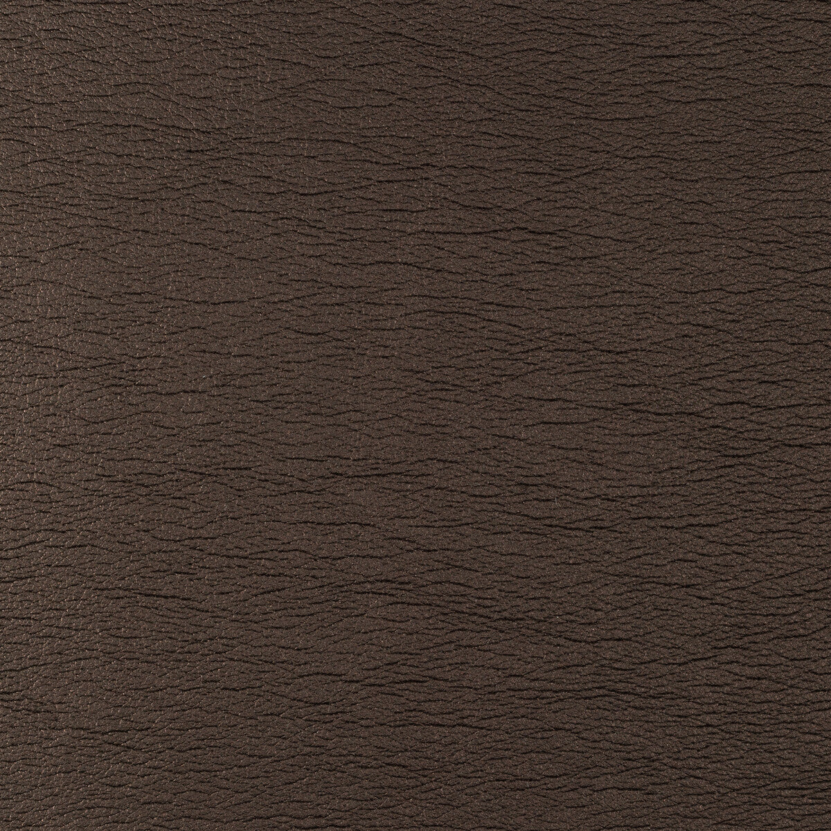 KRAVET DESIGN GALLEON.6.0 KRAVET DESIGN GALLEON-6 Fabric - Eade's Wallpaper