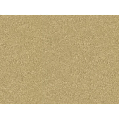 KRAVET DESIGN GAROUA.16.0 KRAVET DESIGN GAROUA-16 Fabric - Eade's Wallpaper