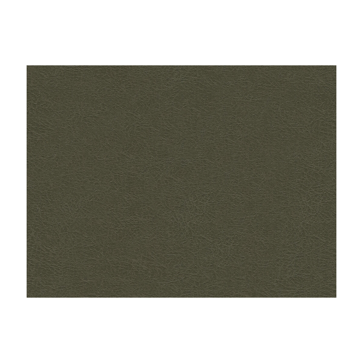 KRAVET DESIGN GAROUA.21.0 KRAVET DESIGN GAROUA-21 Fabric - Eade's Wallpaper