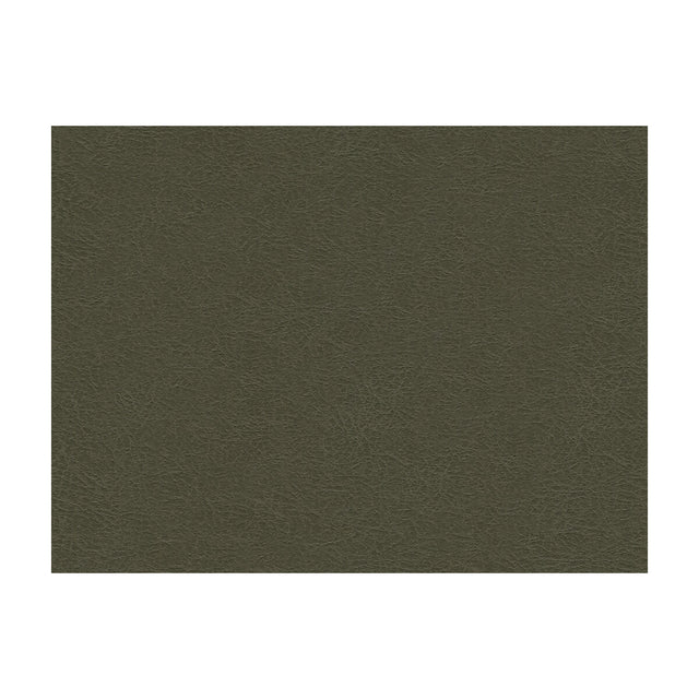 KRAVET DESIGN GAROUA.21.0 KRAVET DESIGN GAROUA-21 Fabric - Eade's Wallpaper