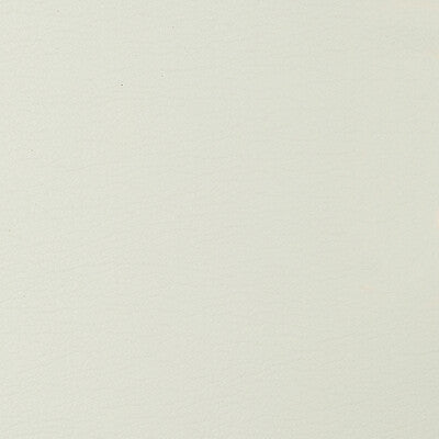 KRAVET DESIGN GATO.101.0 KRAVET DESIGN GATO-101 Fabric - Eade's Wallpaper