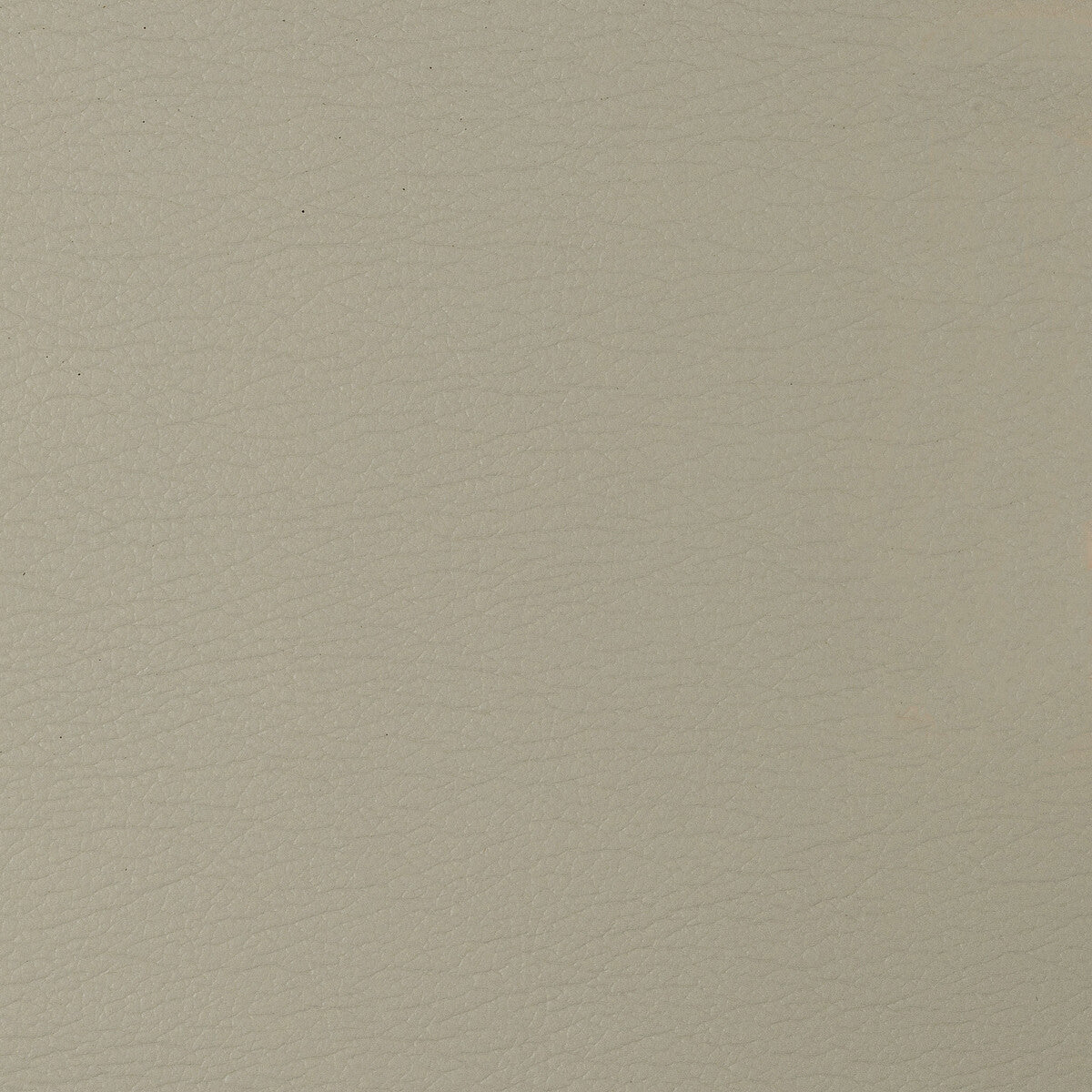 KRAVET DESIGN GATO.106.0 KRAVET DESIGN GATO-106 Fabric - Eade's Wallpaper