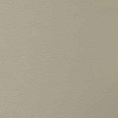 KRAVET DESIGN GATO.106.0 KRAVET DESIGN GATO-106 Fabric - Eade's Wallpaper