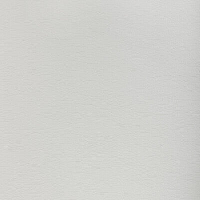 KRAVET DESIGN KRAVET DESIGN GATO.1101.0 in GATO-1101 Fabric 