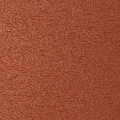 KRAVET DESIGN GATO.12.0 KRAVET DESIGN GATO-12 Fabric - Eade's Wallpaper