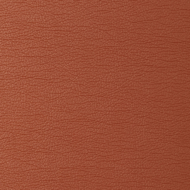 KRAVET DESIGN GATO.12.0 KRAVET DESIGN GATO-12 Fabric - Eade's Wallpaper