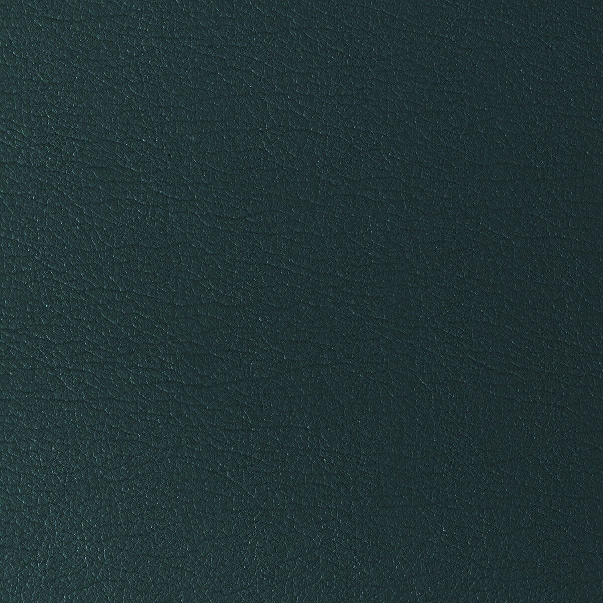 KRAVET DESIGN GATO.135.0 KRAVET DESIGN GATO-135 Fabric - Eade's Wallpaper