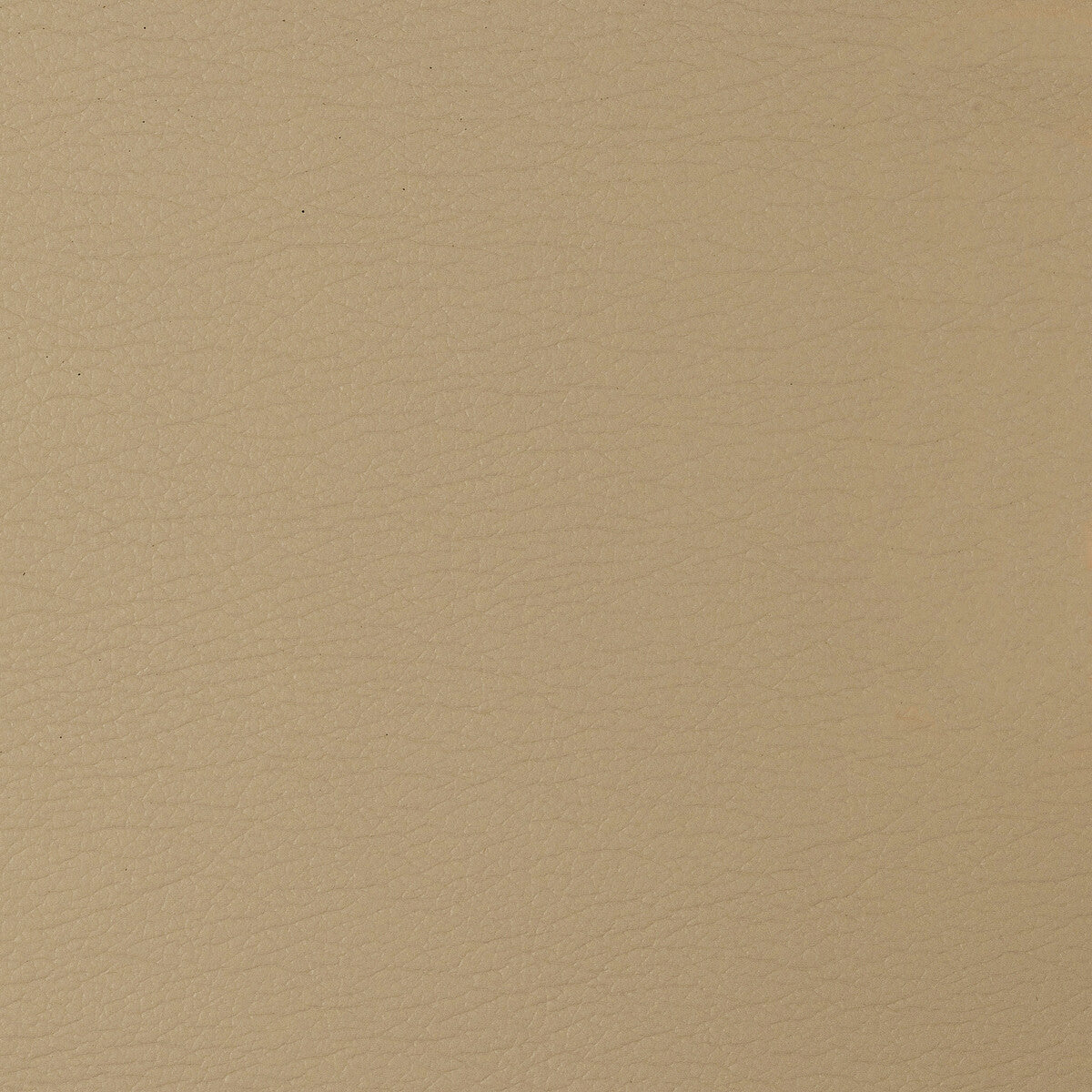 KRAVET DESIGN GATO.1416.0 KRAVET DESIGN GATO-1416 Fabric - Eade's Wallpaper