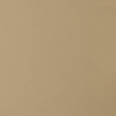 KRAVET DESIGN GATO.1416.0 KRAVET DESIGN GATO-1416 Fabric - Eade's Wallpaper