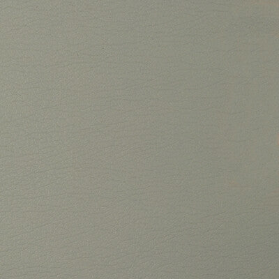 KRAVET DESIGN GATO.1611.0 KRAVET DESIGN GATO-1611 Fabric - Eade's Wallpaper