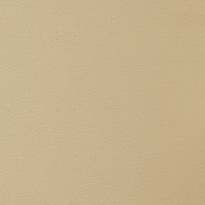 KRAVET DESIGN GATO.1616.0 KRAVET DESIGN GATO-1616 Fabric - Eade's Wallpaper