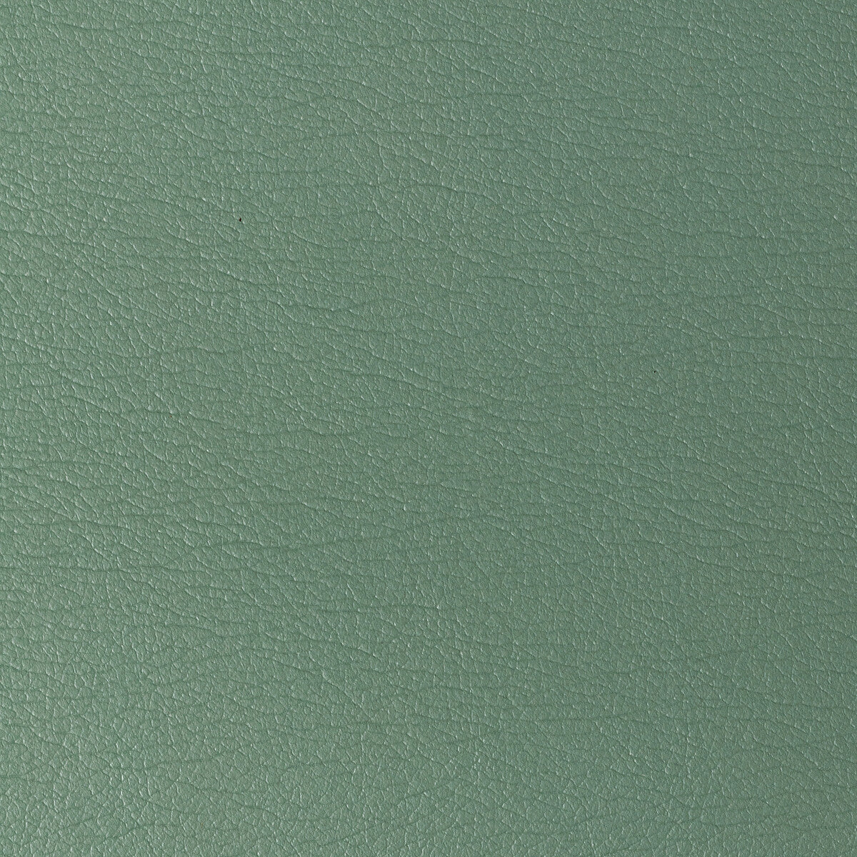 KRAVET DESIGN GATO.323.0 KRAVET DESIGN GATO-323 Fabric - Eade's Wallpaper