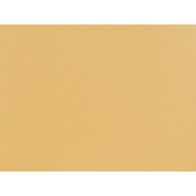 KRAVET DESIGN GATO.404.0 KRAVET DESIGN GATO-404 Fabric - Eade's Wallpaper