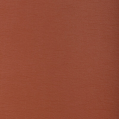 KRAVET DESIGN KRAVET DESIGN GATO.612.0 in GATO-612 Fabric - 