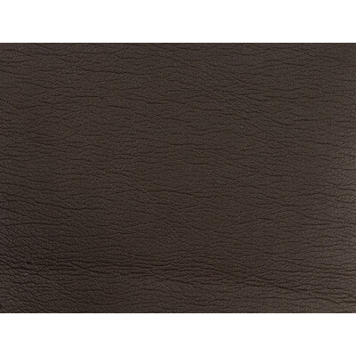 KRAVET DESIGN GATO.6666.0 KRAVET DESIGN GATO-6666 Fabric - Eade's Wallpaper