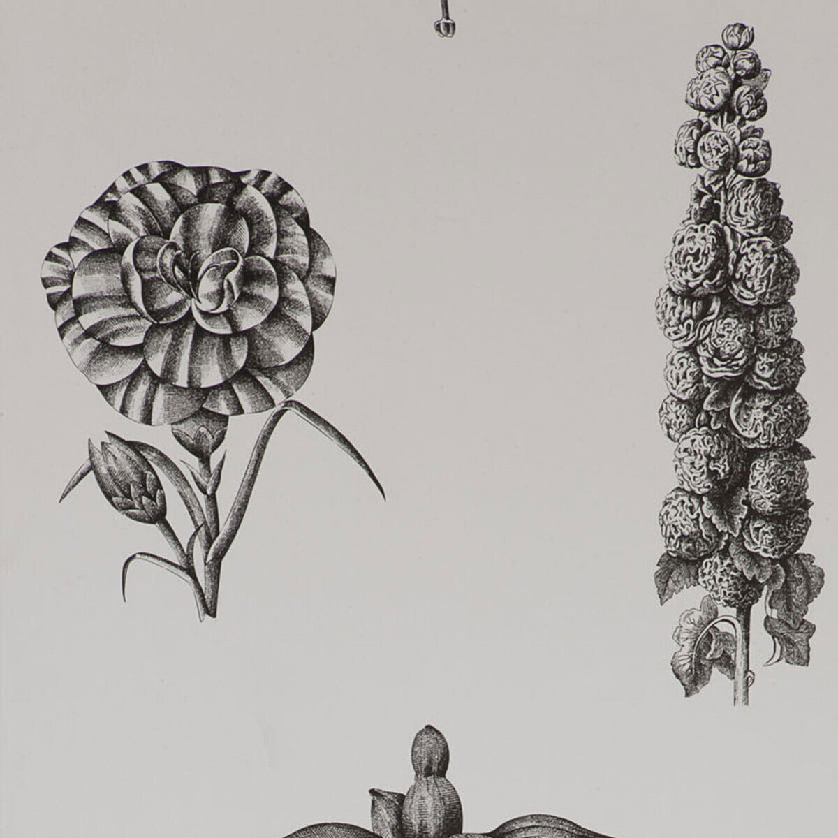 GASTON Y DANIELA GDT4854.001.0 GUAYANA ONYX Wallpaper - Eade's Wallpaper