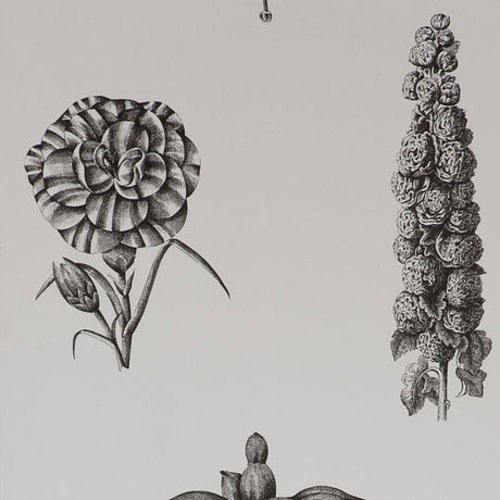 GASTON Y DANIELA GDT4854.001.0 GUAYANA ONYX Wallpaper - Eade's Wallpaper