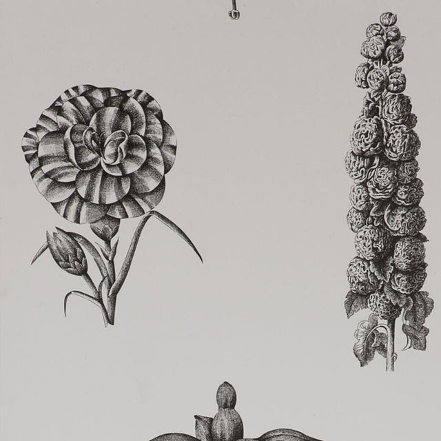 GASTON Y DANIELA GDT4854.001.0 GUAYANA ONYX Wallpaper - Eade's Wallpaper