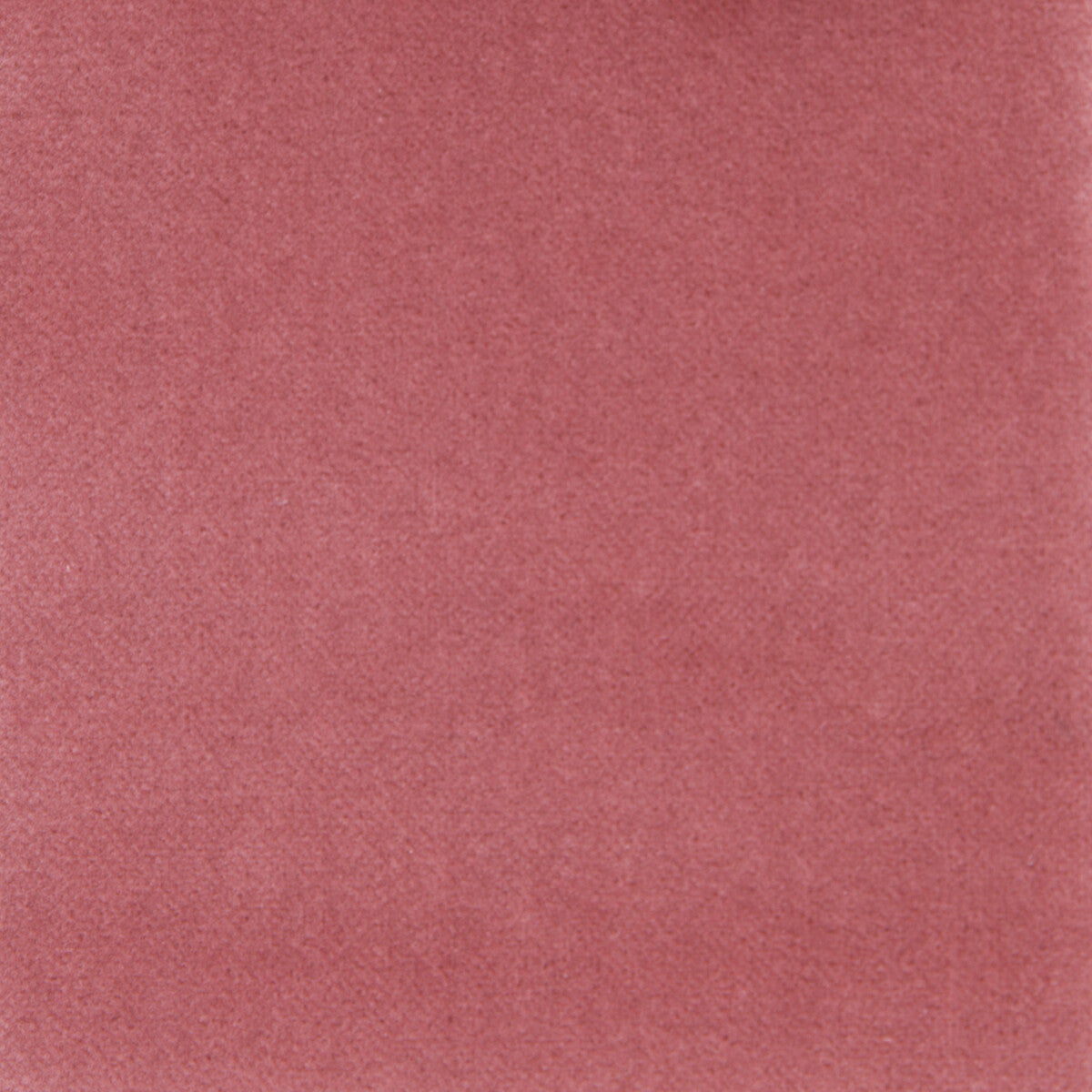 GASTON Y DANIELA GDT5230.003.0 VENECIA ROSA PALO Fabric - Eade's Wallpaper