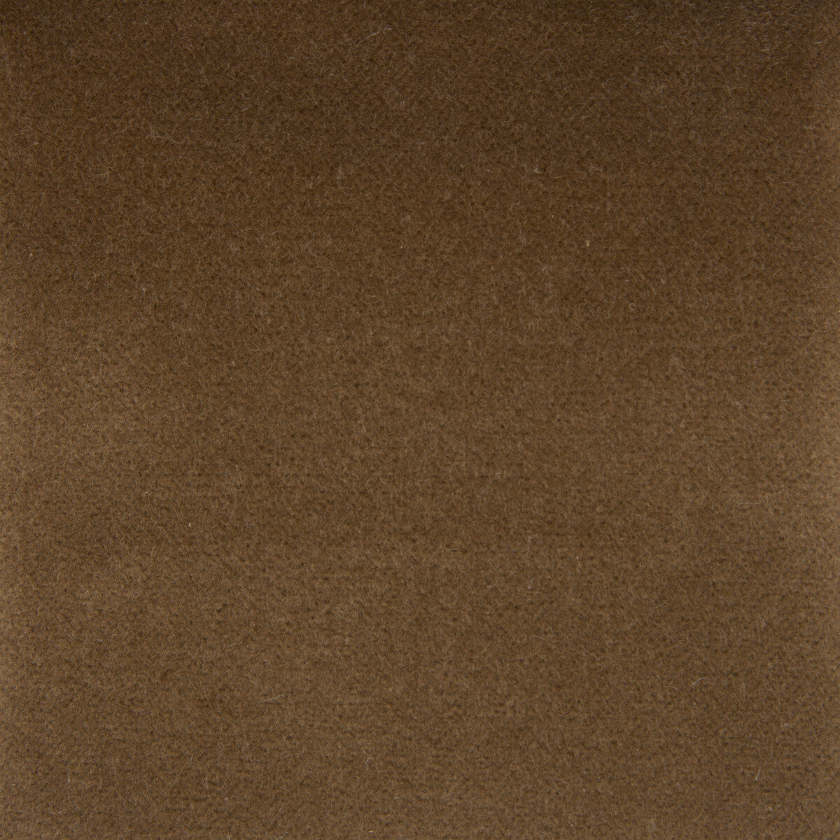 GASTON Y DANIELA GDT5230.012.0 VENECIA CAMEL Fabric - Eade's Wallpaper