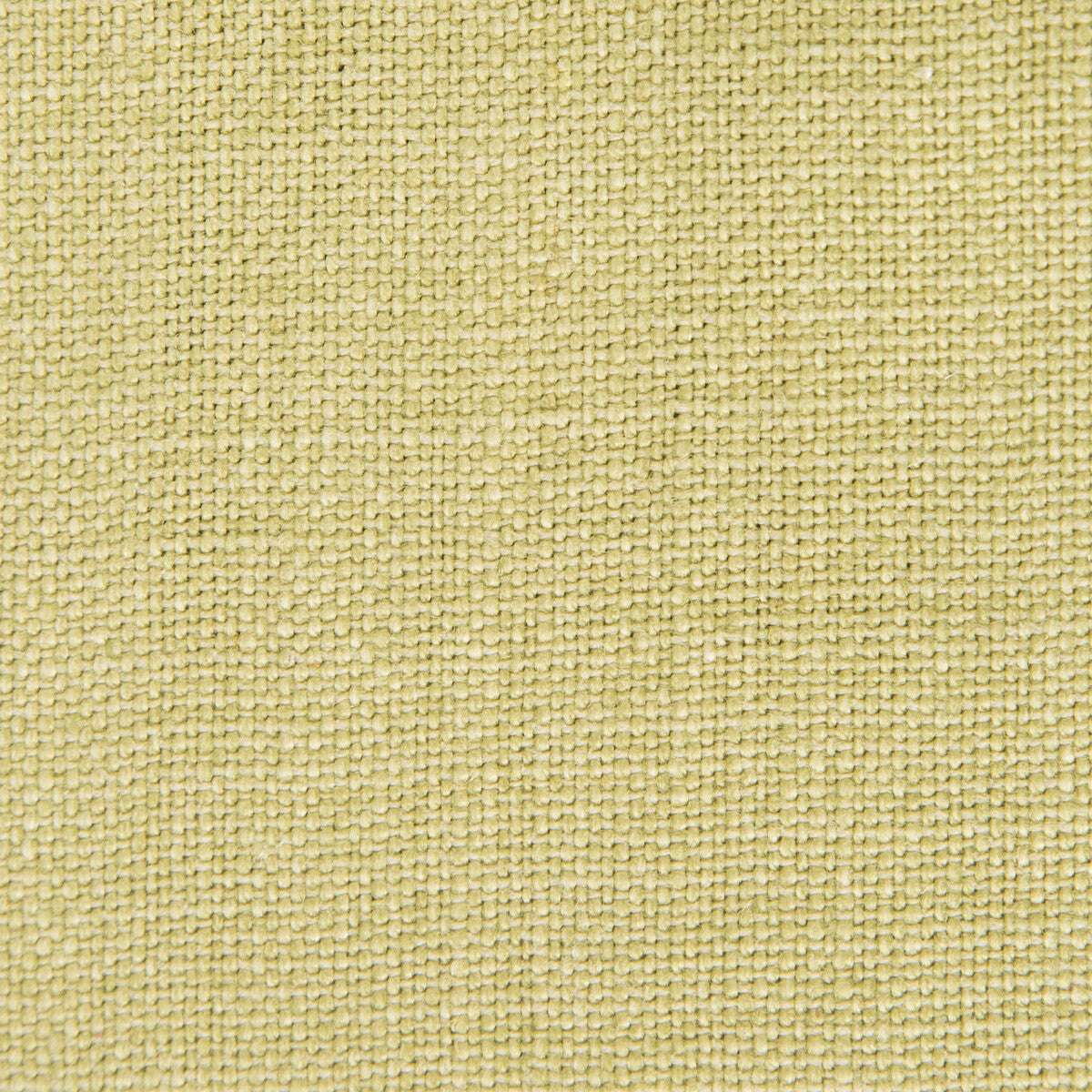 GASTON Y DANIELA GDT5239.011.0 NICARAGUA VERDE CLARO Fabric - Eade's Wallpaper