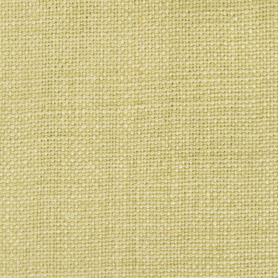 GASTON Y DANIELA GDT5239.011.0 NICARAGUA VERDE CLARO Fabric - Eade's Wallpaper