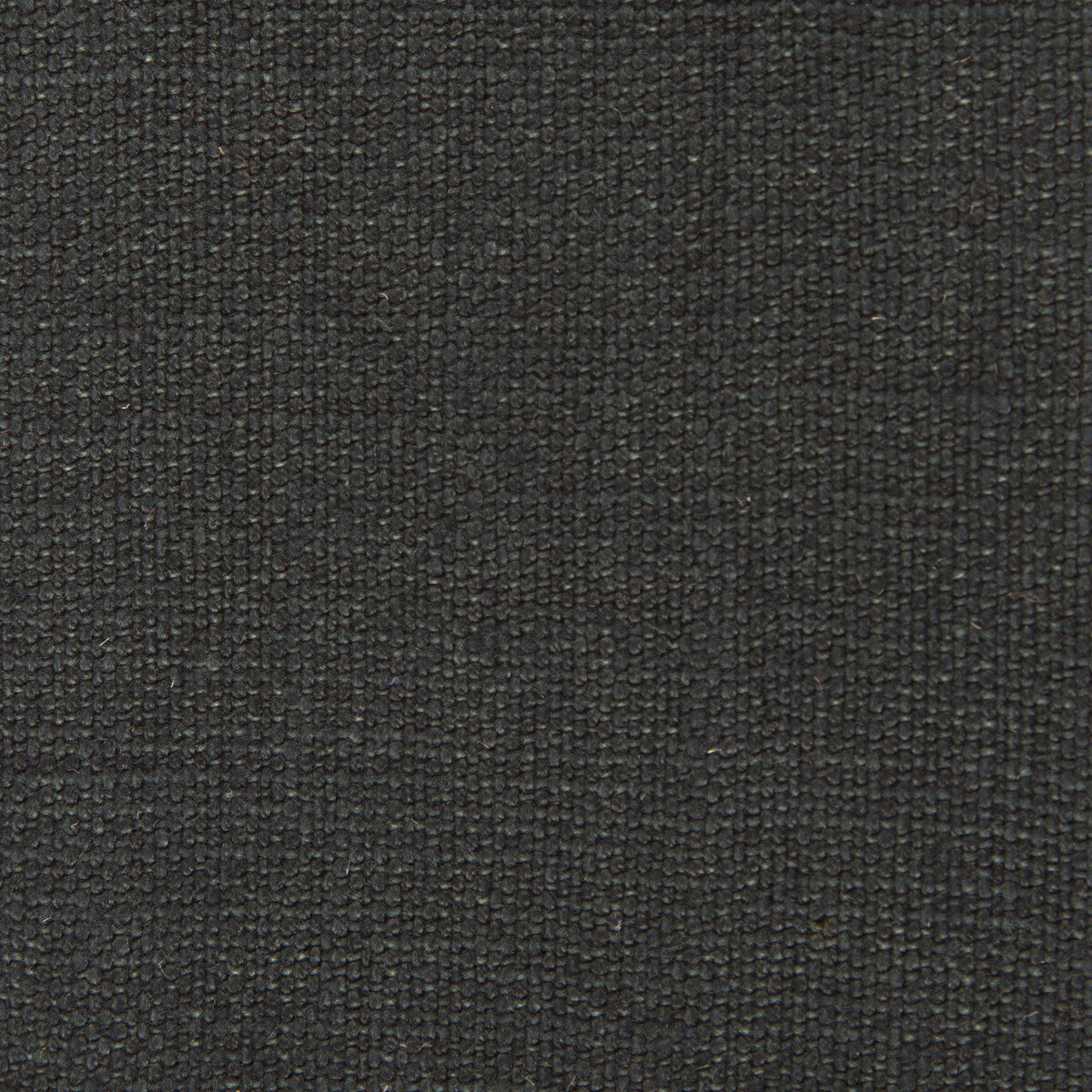 GASTON Y DANIELA GDT5239.018.0 NICARAGUA ONYX Fabric - Eade's Wallpaper