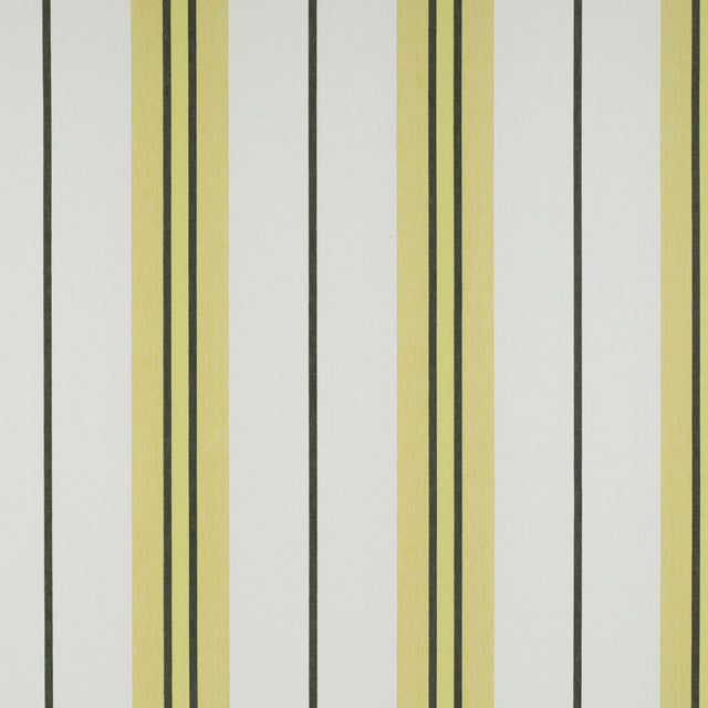 GASTON Y DANIELA GDT5310.001.0 BURANO ONYX/AMARILLO Fabric - Eade's Wallpaper