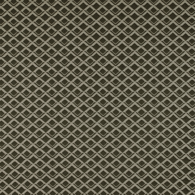 GASTON Y DANIELA GDT5324.001.0 LODI ONYX Fabric - Eade's Wallpaper