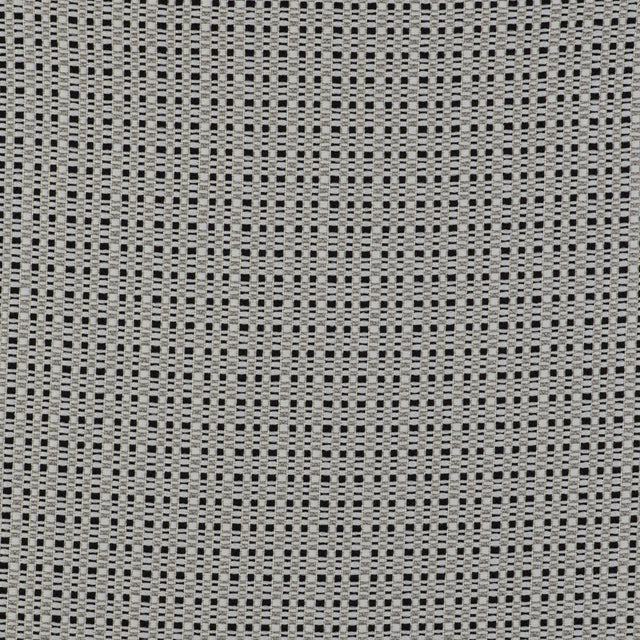 GASTON Y DANIELA GDT5510.004.0 OUT BLANCO/NEGRO Fabric - Eade's Wallpaper